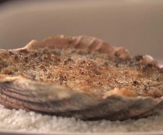 Replay La meilleure cuisine régionale, c'est chez moi ! - J4 : Bretagne