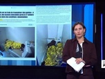 Replay Dans la presse - Des conditions de détention abominables au tribunal de Bobigny