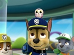 Replay Paw Patrol, la Pat'Patrouille - Le sauvetage du hibou