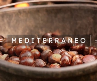 Replay Mediterraneo - Châtaigneraies en Corse