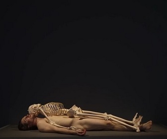 Replay ARTE Journal - Le dynamisme de Marina Abramović