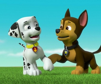 Replay Paw Patrol, la Pat'Patrouille - La Super Patrouille : Les statues de glace