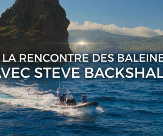 Replay A la rencontre des baleines avec Steve Backshall - 16/07/2026