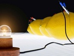 Replay Déclics - Électricité : tout s'éclaire !