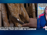 Replay Élément Terre, la quotidienne - Une proposition de loi pour limiter l'exposition des Français au cadmium