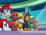 Replay Paw Patrol, la Pat'Patrouille - La journée de l'Amitié - 22'