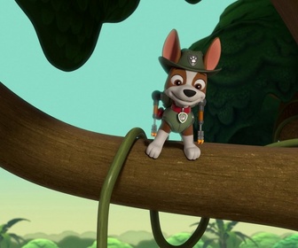 Replay Paw Patrol, la Pat'Patrouille - S10 E37 - Une bulle dans la jungle