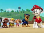 Replay S00 E49 - Compilation Paw Patrol, la Pat'Patrouille 49