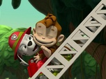 Replay Paw Patrol, la Pat'Patrouille - A la rescousse des trois singes