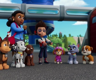 Replay S00 E71 - Compilation Paw Patrol, la Pat'Patrouille 71
