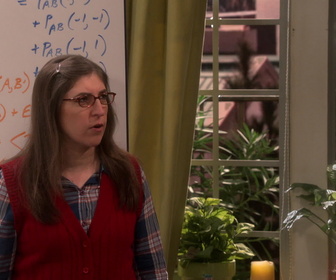 Replay The Big Bang Theory - S10E19 - Une collaboration houleuse