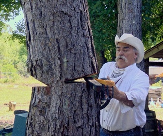 Habitations En Peril replay