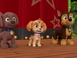 Replay Paw Patrol, la Pat'Patrouille - La danse des flamants roses