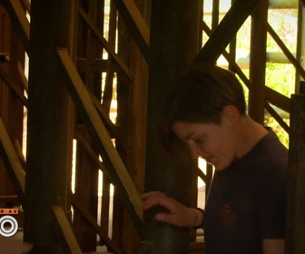 Replay Une saison au zoo - S13 E50