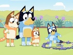 Replay Bluey - S1 E30 - Les fées