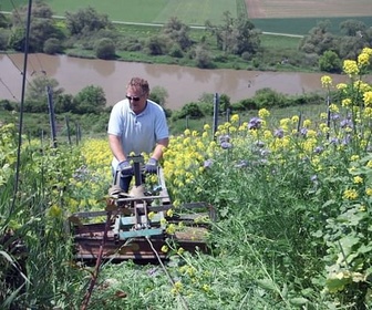 Replay Allemagne : les défis du climat - Des vignes et des hommes