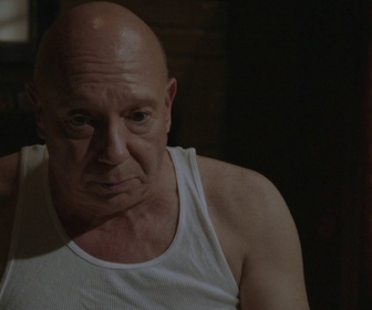 Replay New York Unité Spéciale - S13 E23 - V.I.P