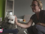 Replay Dr Cath - Mission adoption - S2 E8