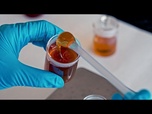 Replay The Food Detectives : comment repérer le faux miel