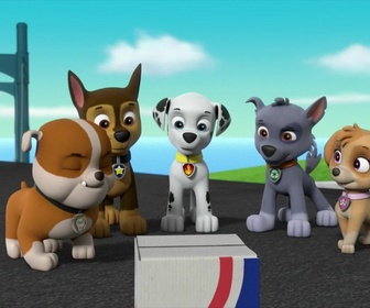 Replay Paw Patrol, la Pat'Patrouille - S07 E23 - Les rollers de Danny