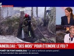 Replay BFM Grand Soir - Fontainebleau : des mois pour éteindre le feu ? - 15/07