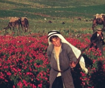 Replay Prix du cinéma européen - The flowers stand silently, witnessing