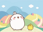 Replay Molang - La notice