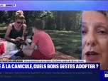 Replay News Box - Face à la canicule, quels bons gestes adopter ? - 10/08