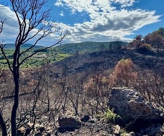 Replay Incendies, innover pour mieux lutter