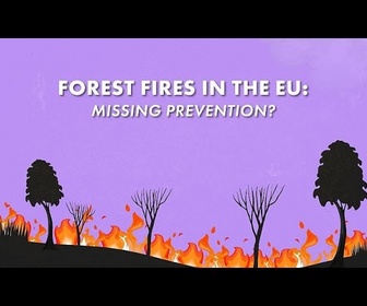 Replay L'UE ne parvient-elle pas à prévenir les feux de forêt ?