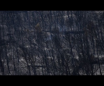 Replay Les images d'un violent incendie qui se propage dans le sud de la France