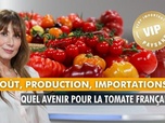Replay VIP Very Important Paysans - Goût, production, importations : Quel avenir pour la tomate française ?