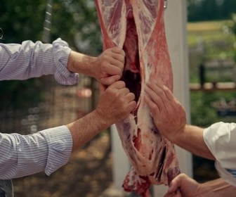 Replay Est-il vrai que nous avons toujours mangé de la viande ?
