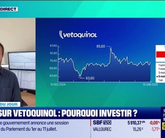 Replay Tout pour investir - La valeur du jour : Zoom sur Vetoquinol, pourquoi investir ? - 10/06