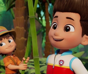 Replay Paw Patrol, la Pat'Patrouille - La catapulte à noix de coco