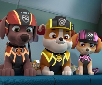 Replay Paw Patrol, la Pat'Patrouille - Le portrait de la princesse