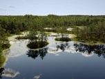 Replay Engagés pour la préservation des marais - Des mains vertes pour la nature