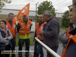 Replay 66 minutes : le doc - Le mystère des chats disparus / L'avocat en camping-car / Caméras embarquées : la preuve par l'image
