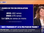 Replay C'est votre vie - SNCF: pourquoi n'y a-t-il pas plus de trains ?