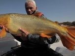 Replay River monsters - S6E5 - La fleuve de sang