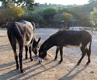 Replay Sud-Ouest Alentejano et Costa Vicentina - Les parcs naturels portugais