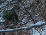 Replay Seuls face à l'Alaska - S9E5 - Appel aux armes