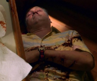 Replay Hawaii 5-0 - S3 E3 - Lana I Ka Moana