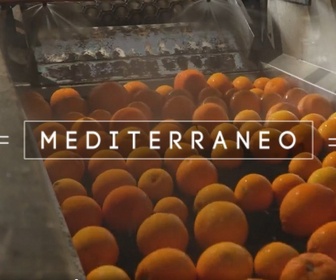 Replay Mediterraneo - Les oranges de la dignité en Italie