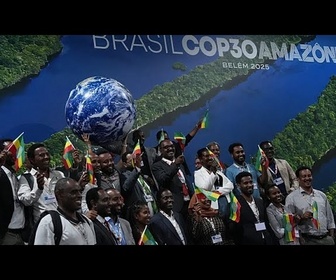 Replay Les députés européens très critiques des échecs de la COP30