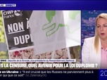 Replay 20H BFM - Loi Duplomb: pour Edwige Diaz, vice-présidente du Rassemblement national, le gouvernement a été en dessous de tout et craint le pire pour nos agriculteurs