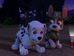 Replay Paw Patrol, la Pat'Patrouille - La Bouche du Tonnerre