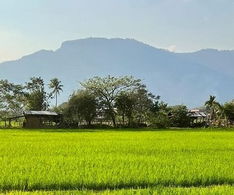 Replay Le Sud - Laos, l'éloge de la lenteur