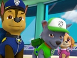 Replay Paw Patrol, la Pat'Patrouille - Alex et sa mini-patrouille
