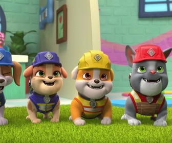 Replay Ruben & cie - La clinique vétérinaire